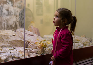 Im Haupthaus in München kam die Idee nicht so gut an, erinnert sich Stefanie Dietz. Inzwischen läuft das Projekt “Kinder im Museum” in Weiden bereits seit 15 Jahren ausgesprochen erfolgreich. Und auch in München sind die Kollegen längst auf den “Zug” Museumspädagogik aufgesprungen.