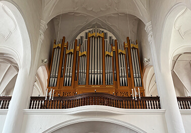 Gerade in einer Zeit, in der das Geld nicht mehr locker sitze, vollbringe der Orgelbauverein St. Michael eine gigantische Leistung, betont Dekan Wolfgang Scheidel. Durch den großen Einsatz des Vorsitzenden Dr. Horst Petzold, seiner Stellvertreterin Petra Vorsatz und vielen Mitgliedern sind inzwischen rund 800000 Euro der 1,1 Millionen Euro teueren Max-Reger-Orgel finanziert.